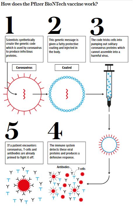 How the Vaccine Works