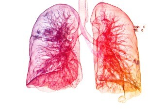 Lung Graphic