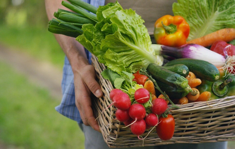 Man with vegetable basket